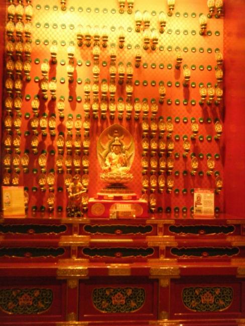 DSCF1492.jpg